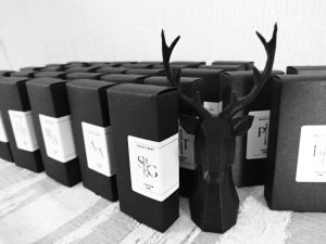 497730649_1102379198574020_7840503515074957203_n